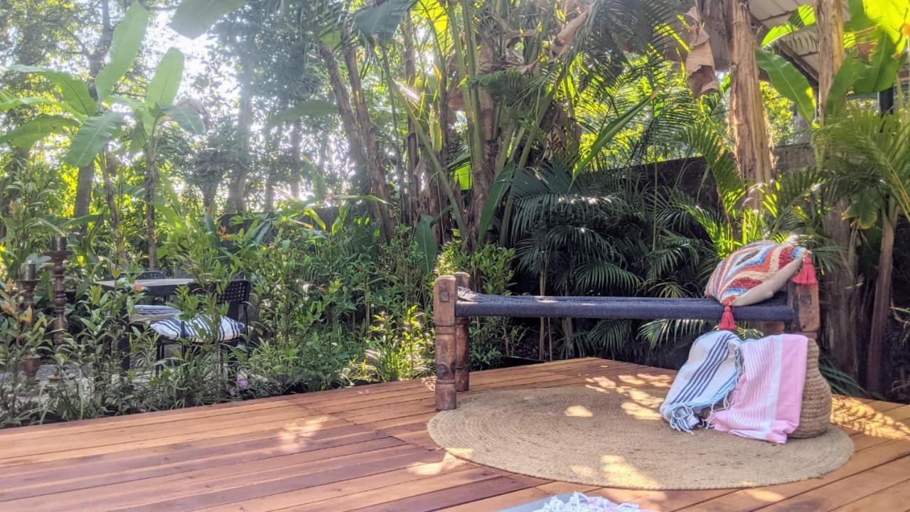 Sunsets And Palm Trees Bed & Breakfast Alappuzha Bilik gambar